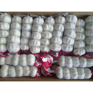 Fournisseur d'ail gorge frais épluché 100%, nouveauté - Product Image 3