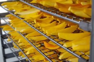 Mangue séchée naturelle super délicieuse sans sucre - ( Mme Daisy ) - Product Image 3