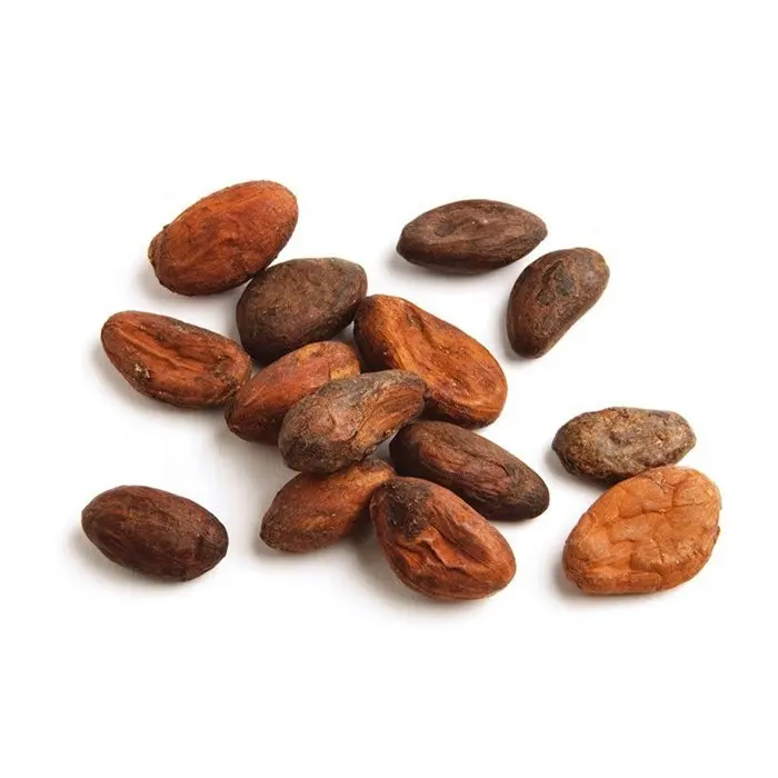 Graines de cacao naturelles écologiques, vente en gros