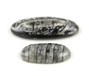 Orthoceras naturales de alta calidad Cristal Negro Suelto Liso Negro Forma ovalada Cabujones Distribuidores directos al por mayor Pulido natural - Product Image 1