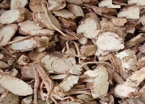TÉ DE ARALIA MING DE VIETNAM - Product Image 4