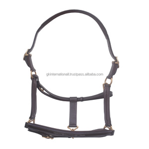 Heavy Duty sur mesure bleu en cuir véritable fait à la main cheval licou double couture en cuir cheval licou matériel en laiton massif - Product Image 1