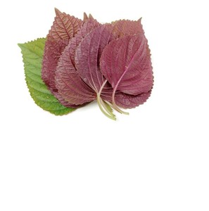 SHISO-PERILLA SECA BARATA, BUENA CALIDAD (SHISO) - Product Image 1