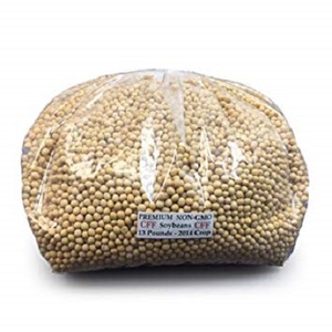 No-no-GMO de grado de exportación de soja amarilla/alta calidad frijoles de soja de los importadores - Product Image 1