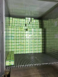 Lime fraîche sans graines édition 2021, avec le meilleur prix du Vietnam - Product Image 4