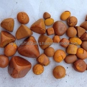 Pierres biliaires de boeuf de la meilleure qualité | Calculs biliaires de bétail | Certifié GMP | Origine ougandaise - Product Image 1