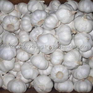 Ajo fresco a granel, buena calidad - Product Image 3