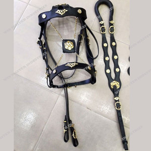 ชุดหมวกบังเหียนสเปน - Product Image 1