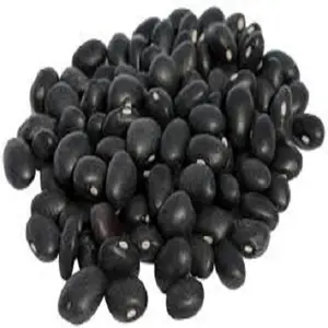 Best Quality Mucuna Pruriens from India