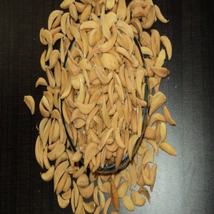 หัวหอมอบอบอบแห้ง5กก. 10กก. 15กก. 20กก. - Product Image 2