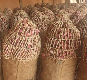 High Quality Organic <b>Fresh</b> Red <b>Onion</b> Non-Peeled - Product Image 1