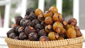 Noix de savon séchée du Viet Nam 2024/Produit de nettoyage naturel 2024 - Product Image 5