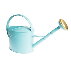Handmade Modern Style Indoor Plant Watering Can Low MOQ Factory Price Galvanized Iron <b>Powder</b> Coating Color Wholesale Supplier - Product Image 1