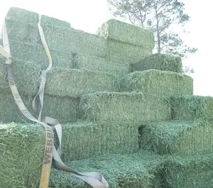 Heno de Alfalfa verde puro y Natural, Alfalfa de heno, 20kg-25kg