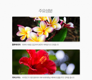 Lotion du corps hawaïenne, Non gras - Product Image 4