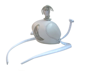 Capó falcony - Product Image 1