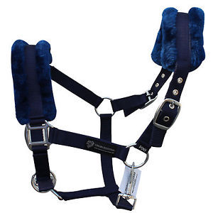 Newly Arrived Shepra Horse <b>Halter</b> at Unbelievable Price - Product Image 2