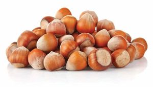 Avellanas Crudas Secas a Granel en Sacos de Yute de 25/50/80 Kg - Product Image 2