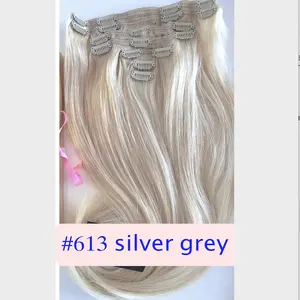 Clip In #613 Zilver Grijze Kleur Hight Kwaliteit Haarverlenging