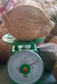 Coco Seco de Alta Calidad/Semicoconut/Cáscara de Coco (whatsapp +84 845 639 639 - Sra. Holiday) - Product Image 2