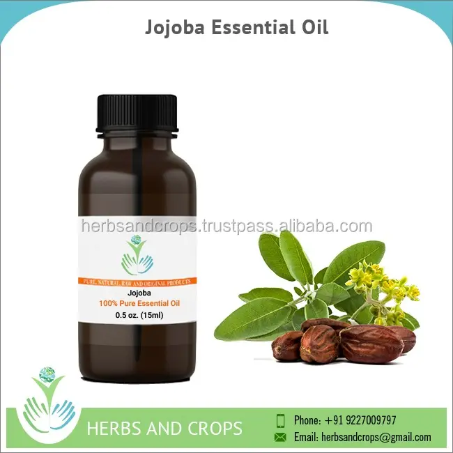 Organic Jojoba Essential Oil at Best Price