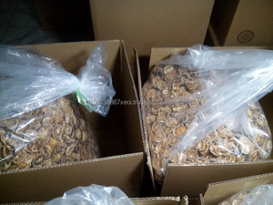 Rodajas de Limón Secas Premium, Secadas al Horno, Secadas al Sol, Totalmente Naturales y al Mejor Precio desde Vietnam - Product Image 2