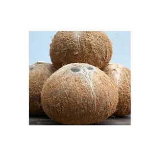 Cheap Price Semi Husked/ Mature Coconut for Sale (Whatsapp+84845639639)