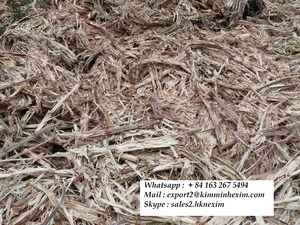 Baga de caña de azúcar vietnamita, alimento prémium para animales, proveniente de prácticas agrícolas sostenibles - Product Image 3