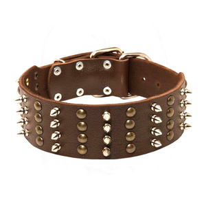 Laisse de chien à motif solide de luxe et approvisionnement en cuir de rivet de collier pour animaux de compagnie pour chats - Product Image 1