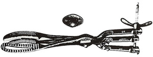 Fórceps de obstetricia de craneoclastos de invierno Instrumentos quirúrgicos de ginecología de acero inoxidable Certificado CE Mahersi - Product Image 2