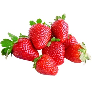 Aceite portador de fresa - Product Image 1