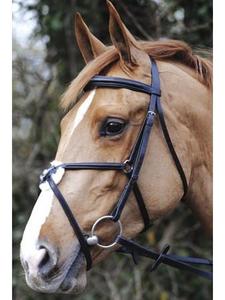 Brida de caballo de cuero Premium con banda para la nariz acolchada y hebillas de acero inoxidable Tachuela de equitación inglesa Cómoda con correas ajustables - Product Image 5