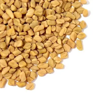 Fenugrec — huile de graines biologique, vente en gros, ml