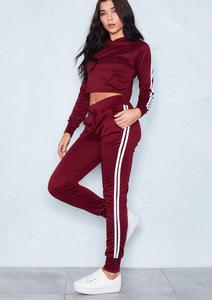 Ensemble de survêtement en velours de haute qualité pour femmes, 2 pièces, taille plus, coupe-vent, jogging d'hiver, logo imprimé - disponible en XXL XL - Product Image 5