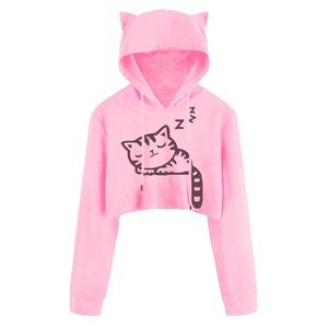 Servicio OEM, Sudadera con Capucha Extra Grande de Alta Calidad para Hombre, Modelo 2025, Personalizable, Lisa, Transpirable, para Verano, Otoño/Invierno, Tallas Grandes - Product Image 6