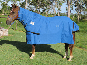 Couverture de cheval en toile imperméable, en coton robuste, pour l'extérieur et l'écurie, protection durable contre les intempéries - Product Image 4