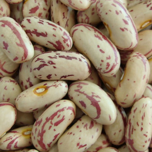 Haricots rouges / Haricots rouges à pois clairs Séchés en vrac - Product Image 1