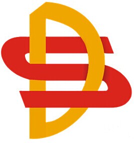 Guangzhou Disong Machinery Equipment Co., Ltd. logo