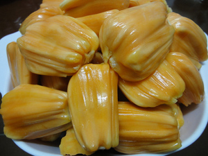 MEILLEUR VENDEUR OFFRE DE JACKFRUIT IQF CONGELÉ DU VIETNAM HAUTE QUALITÉ ET PRIX CONCURRENTIEL - Product Image 4