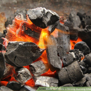 CHARCOAL BBQ BARBECUE GRILL HARD WOOD CHARCOAL LUMP IN NORTH JEOLLA KOREA - Product Image 1