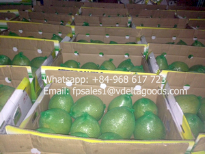 Pomelo / Pomelo de Miel de Vietnam / Holiday 84 845 639 639 - Product Image 4