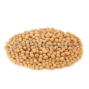 Organic Green Agriculture Products Natural Yellow <b>Soybean</b> - Product Image 5