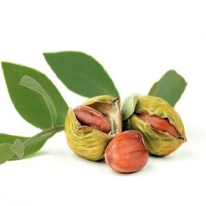 Huile de jojoba pressée à froid pour les soins de la peau et la fabrication de savon sous forme liquide - Product Image 3