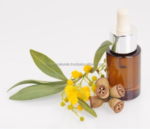 Huile essentielle d'eucalyptus de la meilleure qualité en provenance d'Inde - Product Image 2