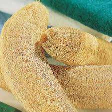 Esponjas de LUFFA / LOOFAH AL MEJOR PRECIO - Product Image 5