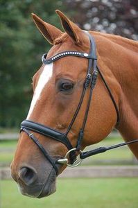Brida de caballo de cuero Premium con banda para la nariz acolchada y hebillas de acero inoxidable Tachuela de equitación inglesa Cómoda con correas ajustables - Product Image 2