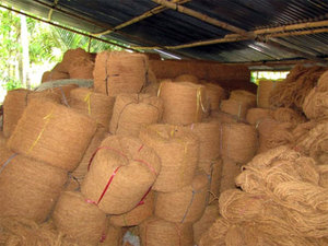 Proveedor de Fibra de Coco de Alta Calidad - Product Image 2
