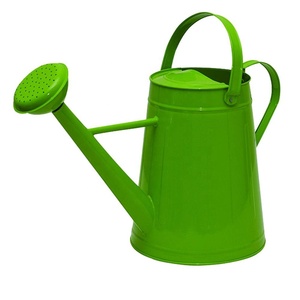 High Quality Premium Market Trending Steel Galvanized Plant Watering Can Wholesaler Supplier - Product Image 1