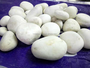 <strong>White</strong> Unpolished <strong>Smooth</strong> <strong>Round</strong> Tumble <strong>Pebbles</strong> and <strong>Round</strong> Rocks Stone