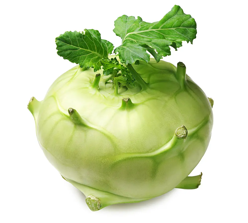 Rau Cải KOHLRABI